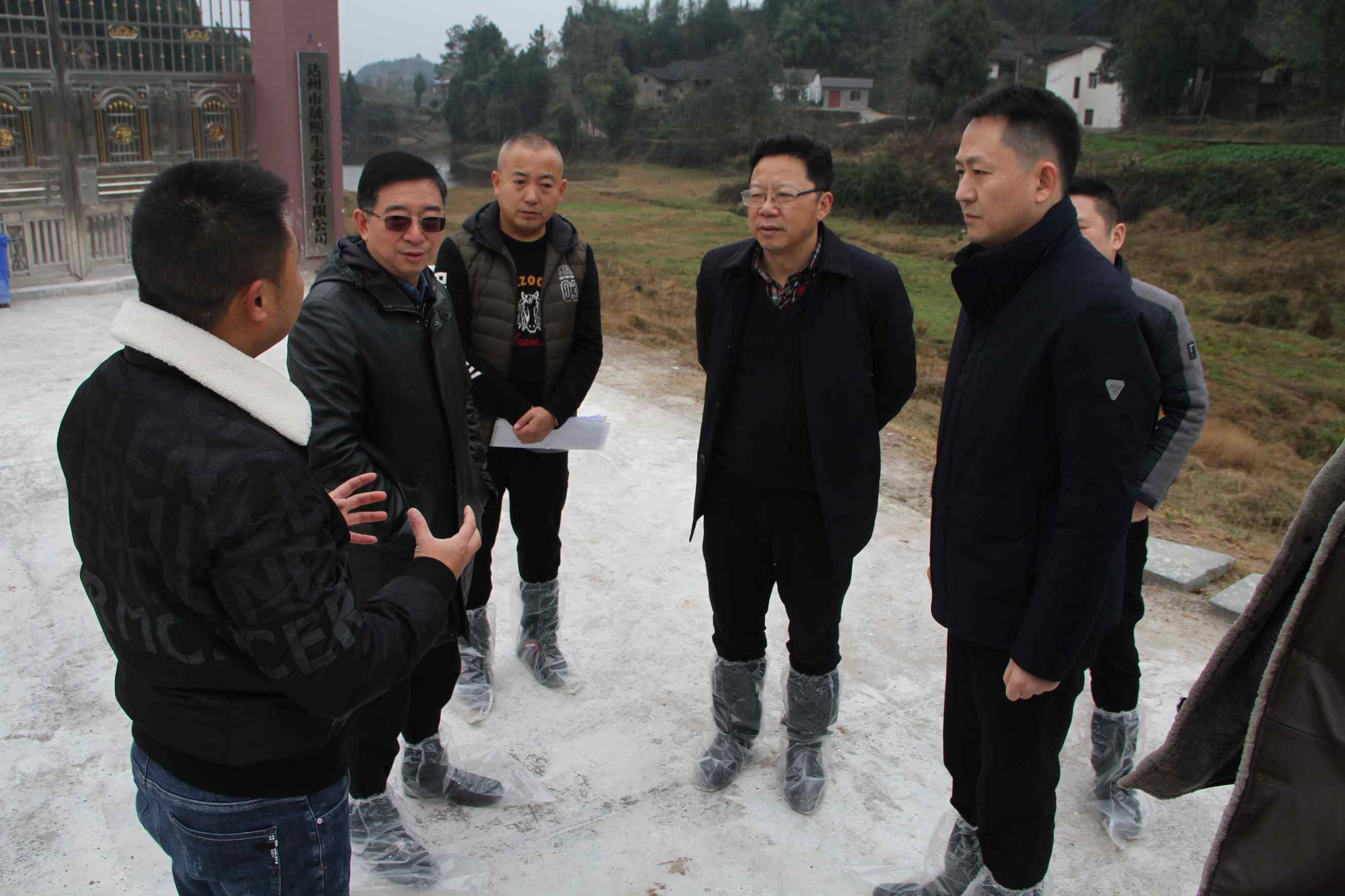 副主席张洪波调研金融服务"三农"工作